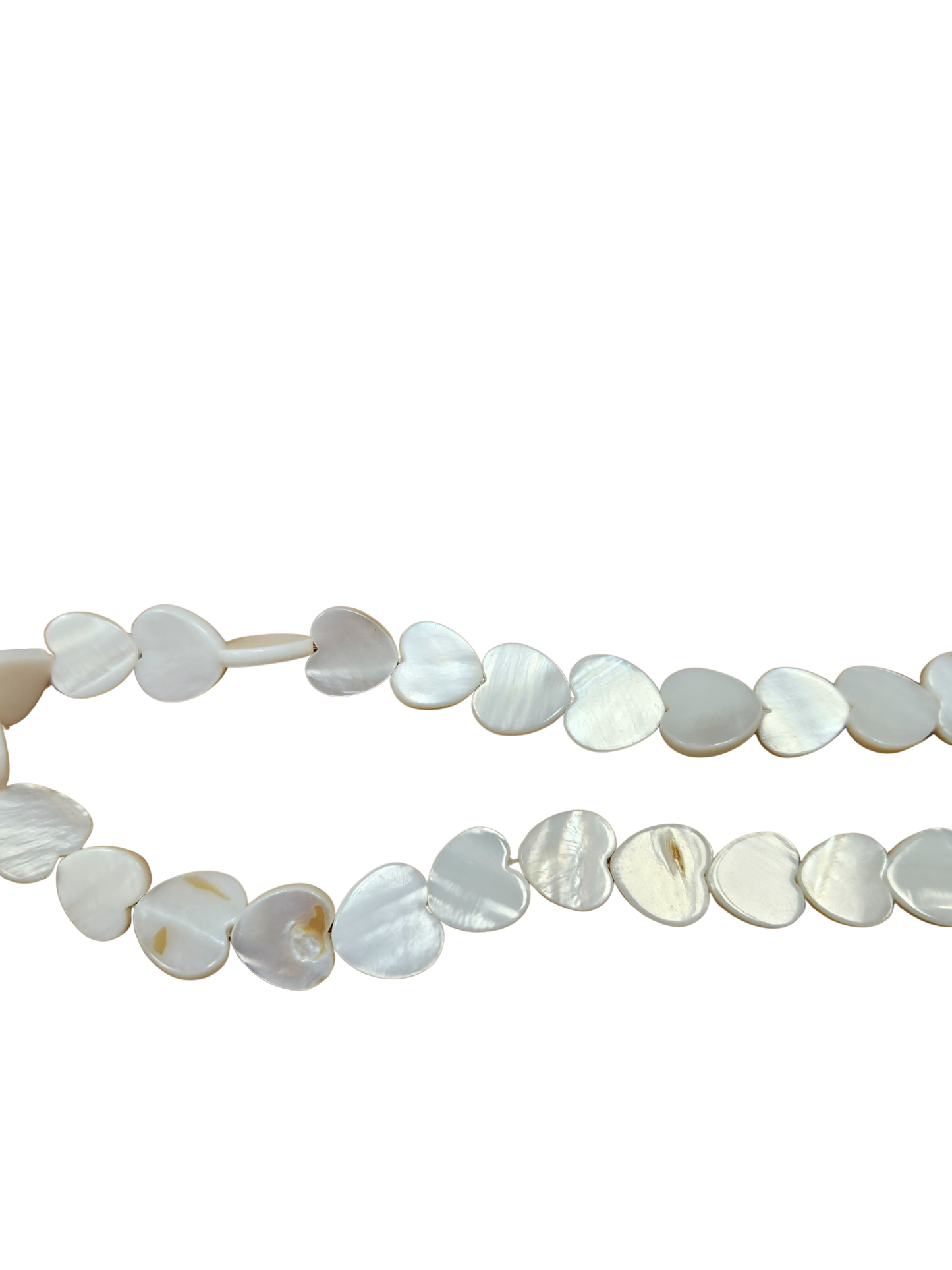 Abalone & Shell Beads