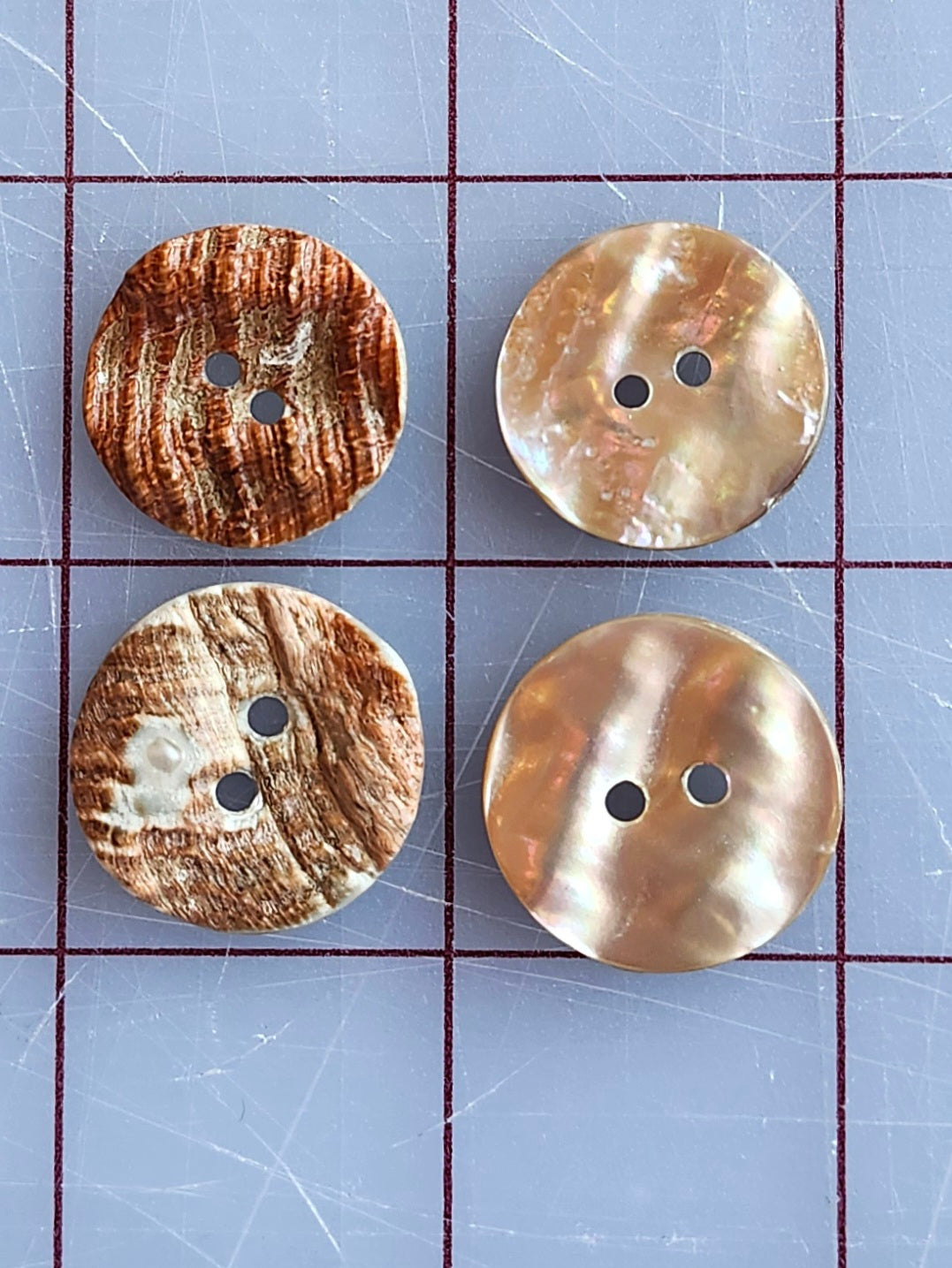 Abalone Buttons