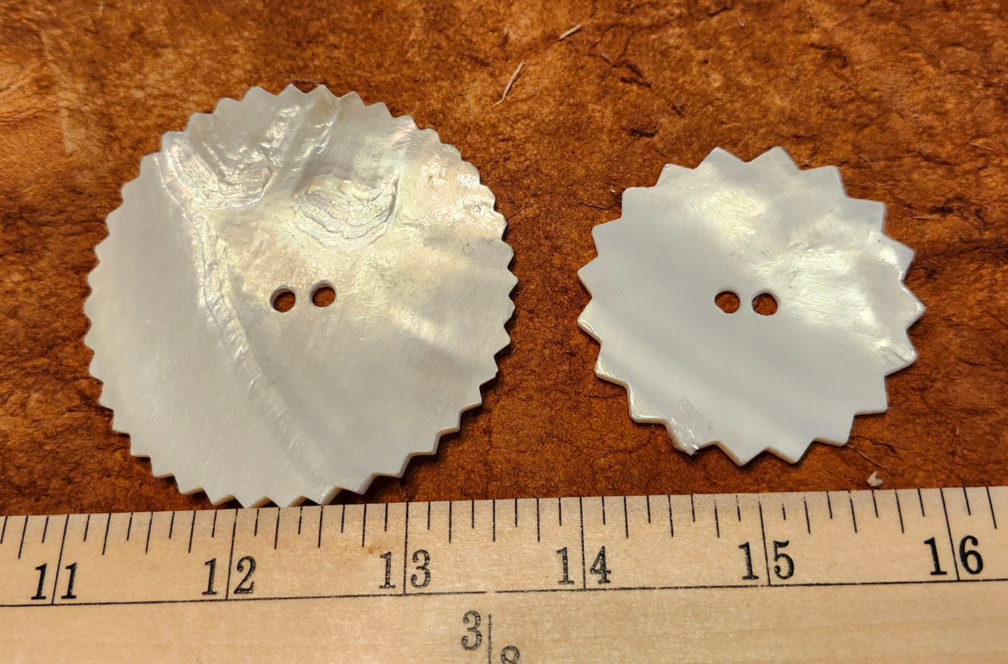 Clam Shells