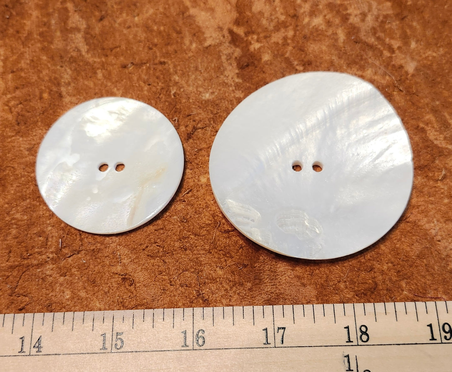 Clam Shells