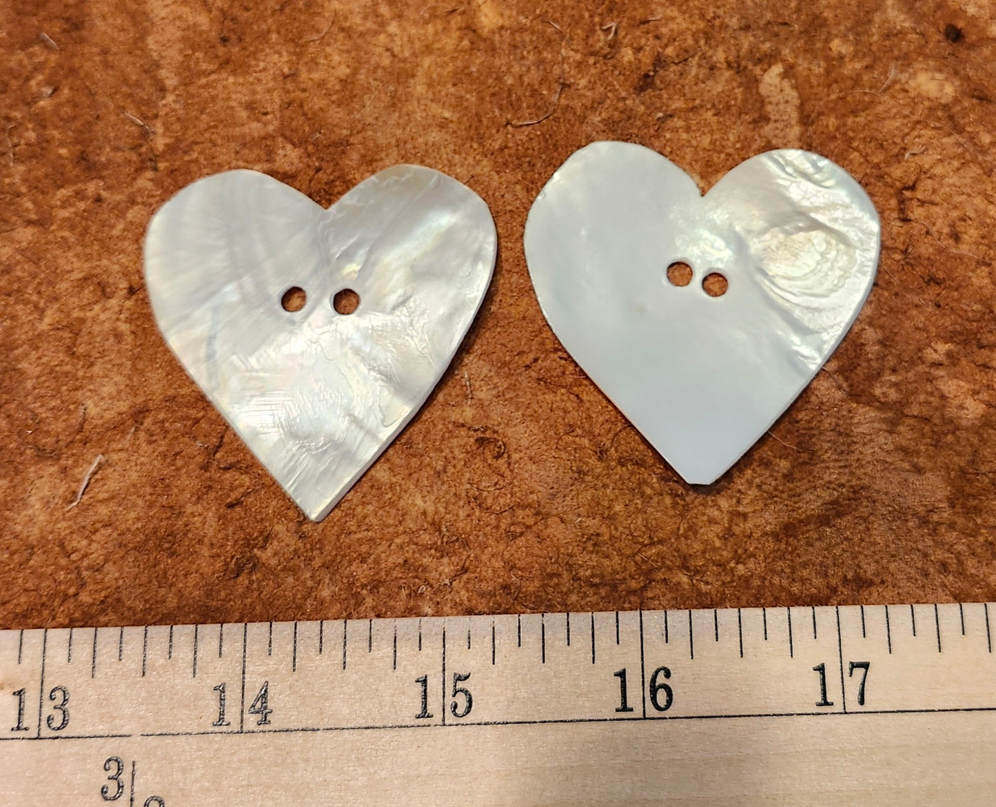 Clam Shells