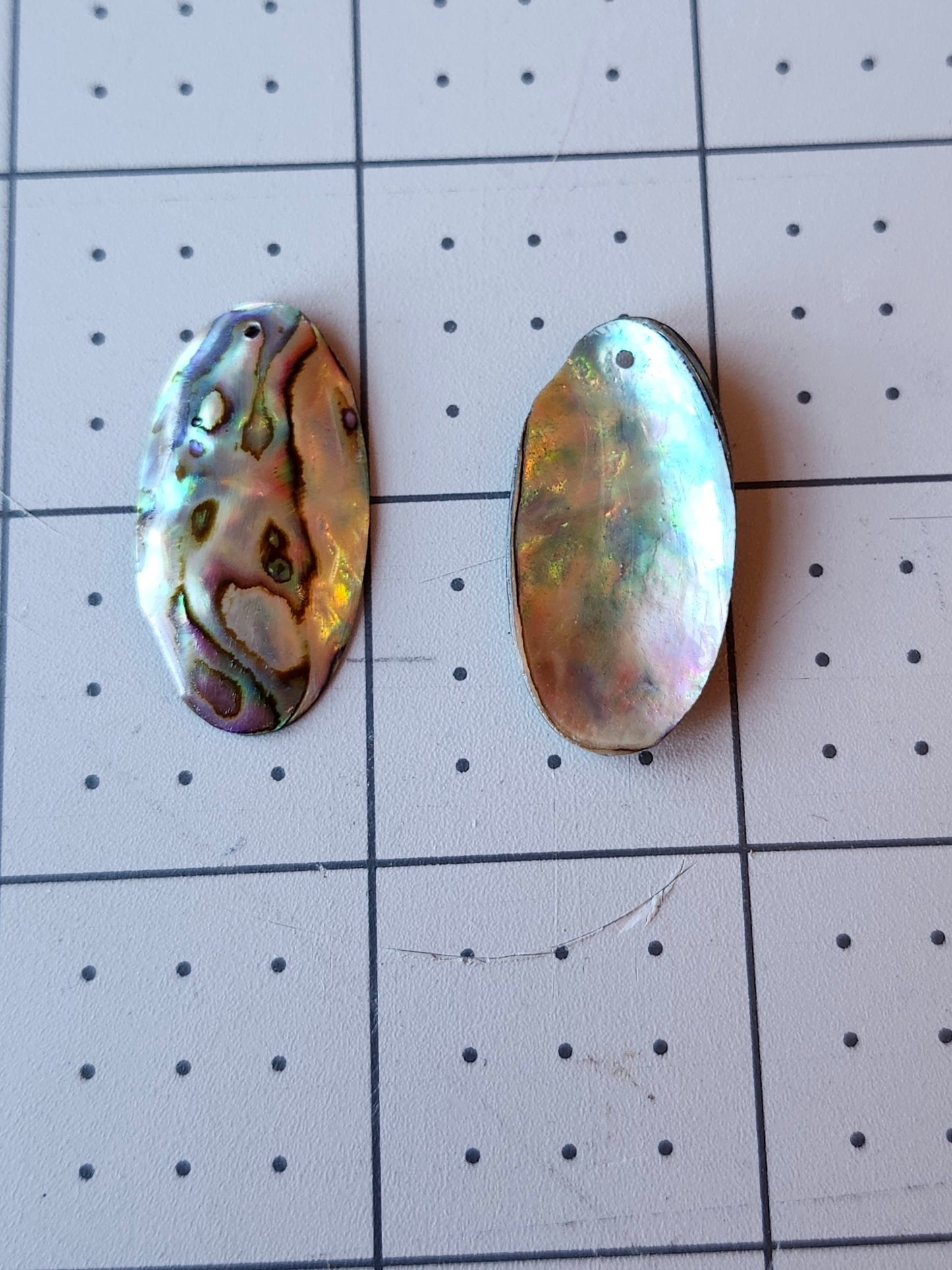 Abalone Pairs