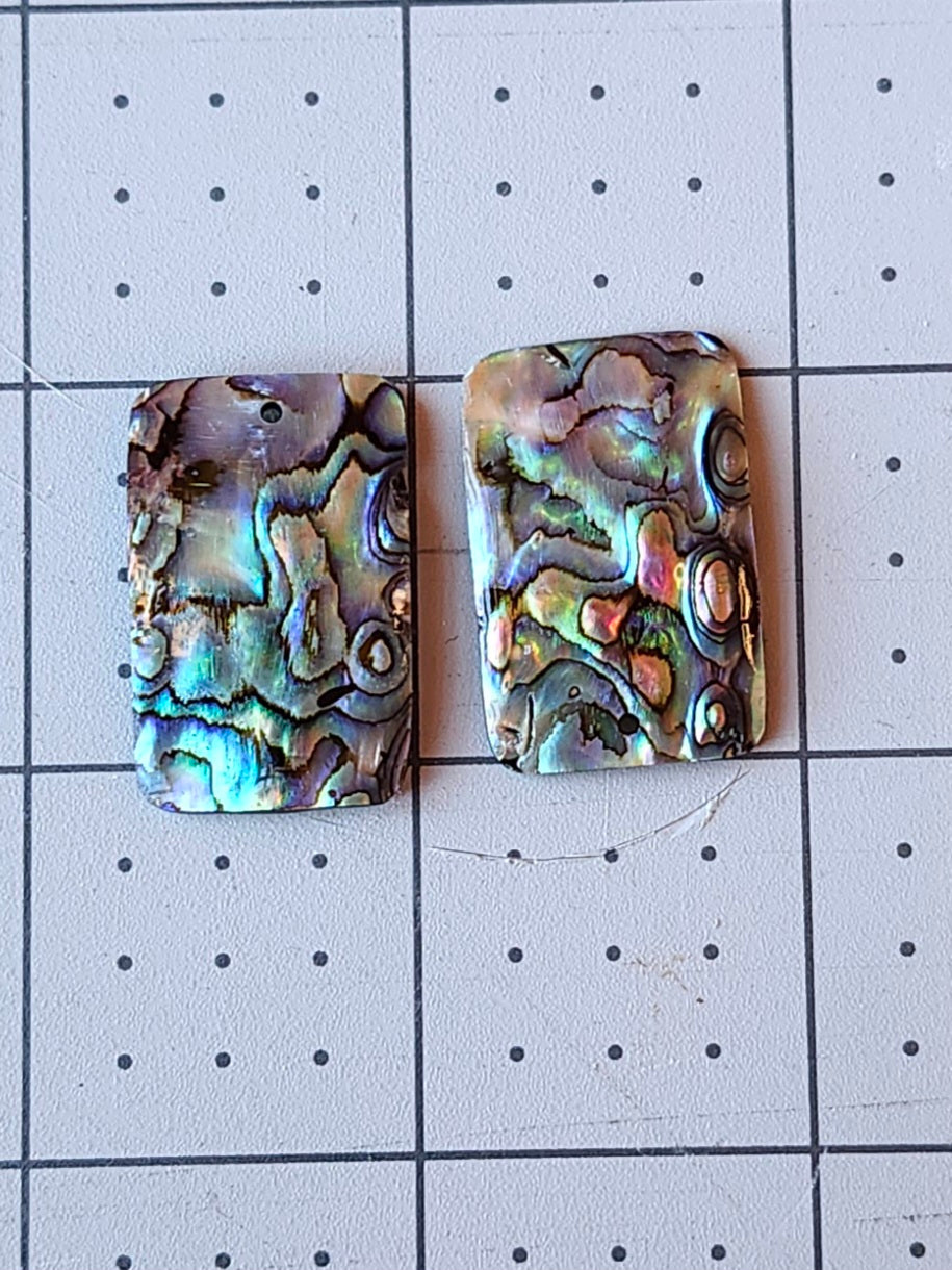 Abalone Pairs