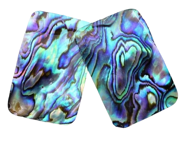 Abalone Pairs