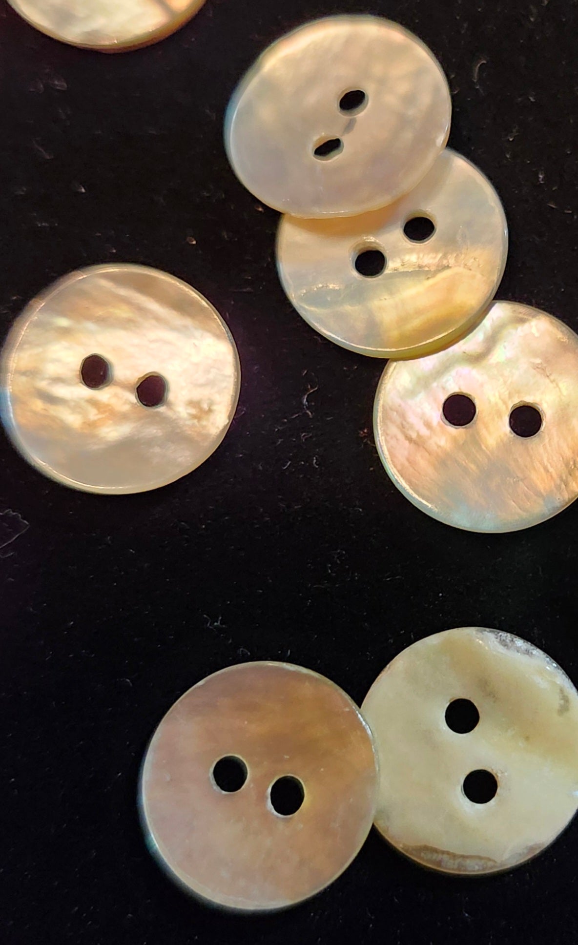 Shell Buttons