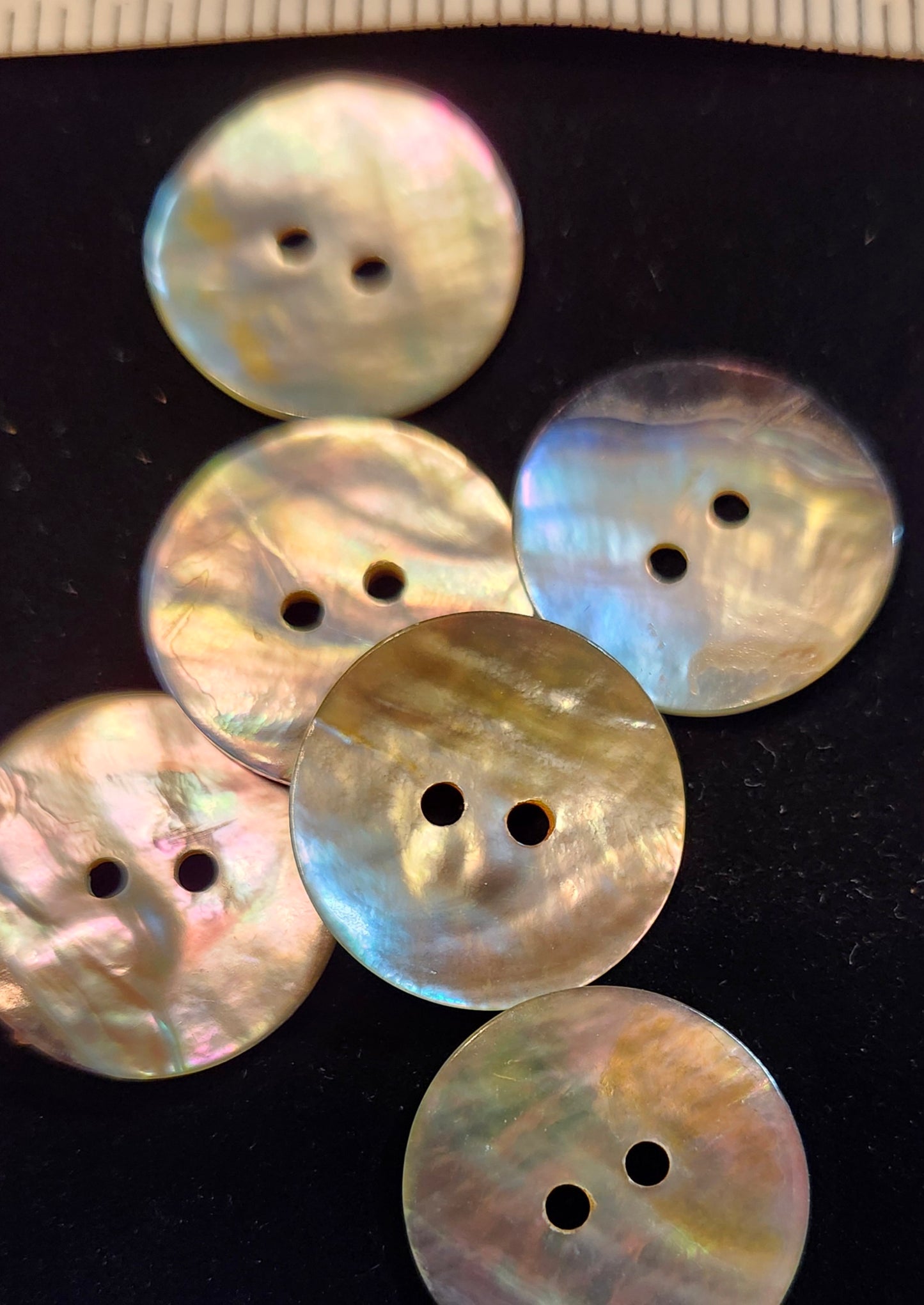 Shell Buttons