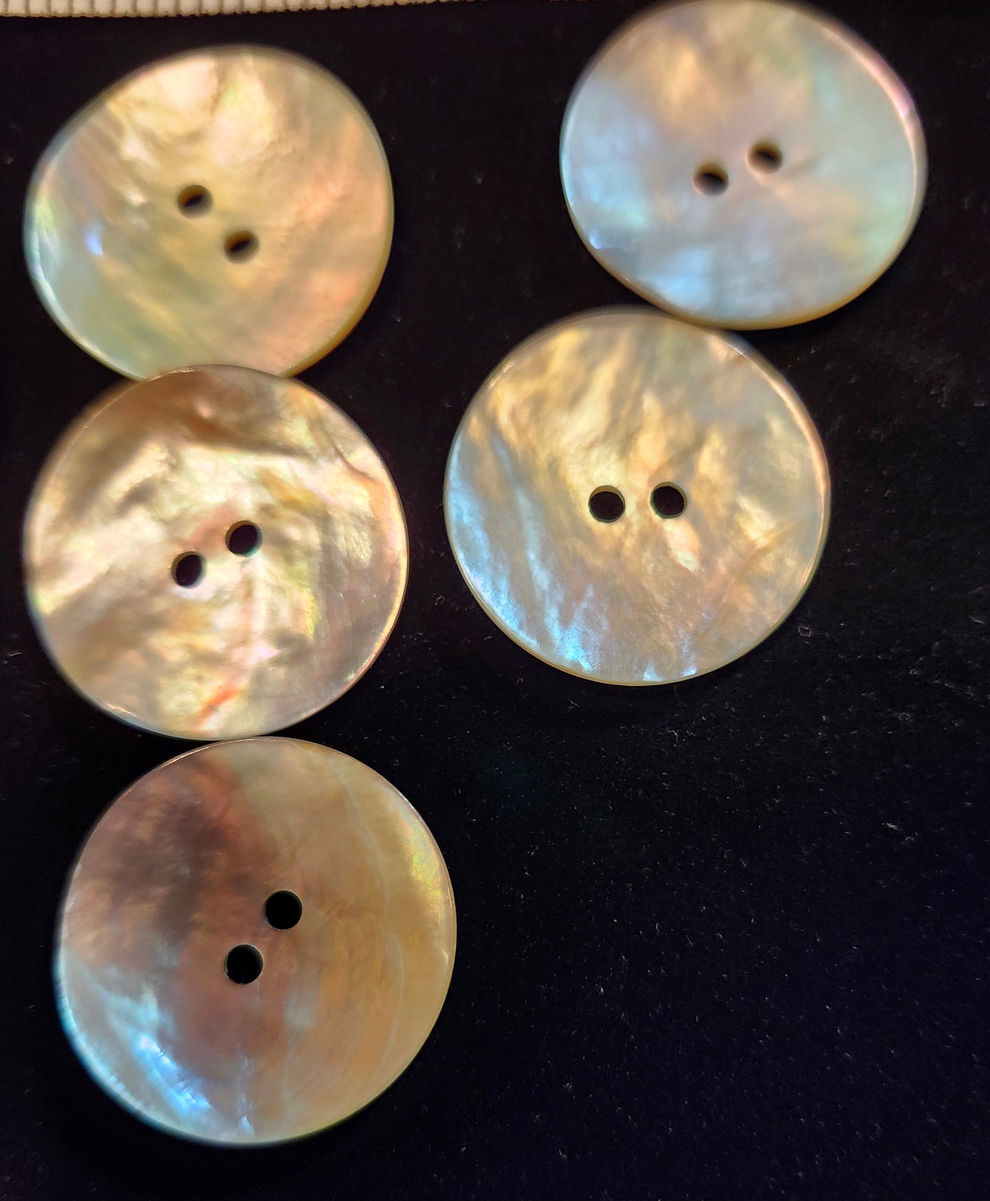 Shell Buttons