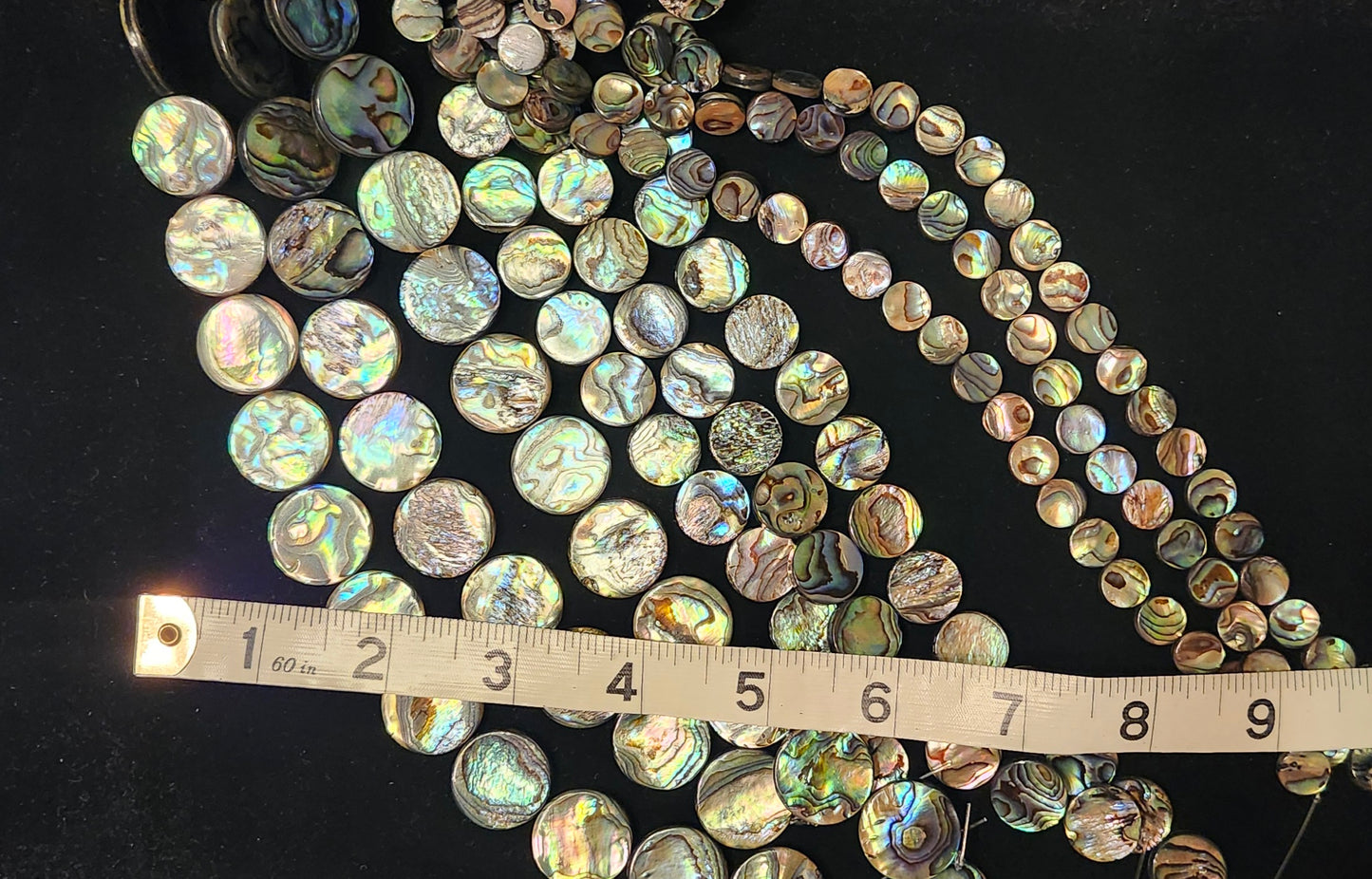 Abalone Coins