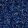 Cylin Beads 11/0