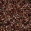 Cylin Beads 11/0