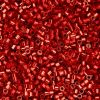 Cylin Beads 11/0