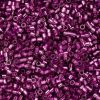 Cylin Beads 11/0