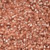 Cylin Beads 11/0