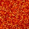 Cylin Beads 11/0
