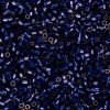 Cylin Beads 11/0