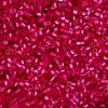 Cylin Beads 11/0