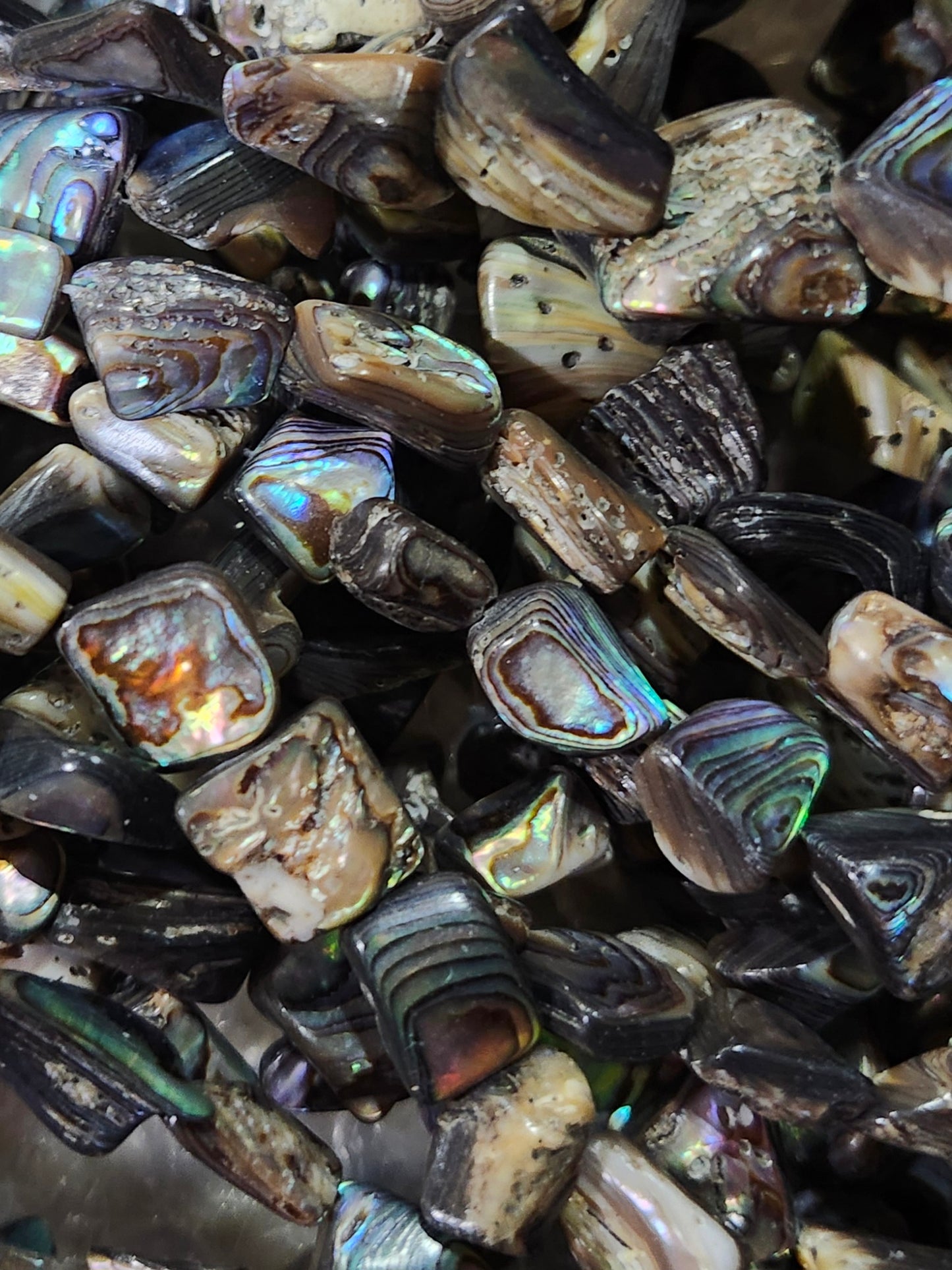Abalone Shell Beads