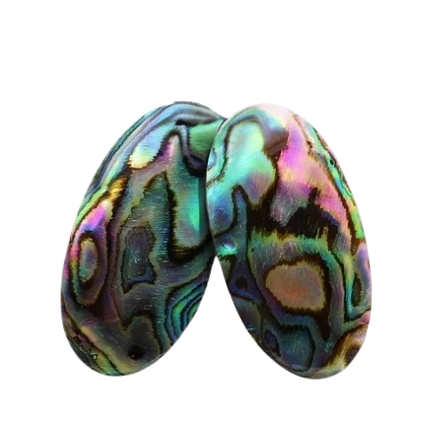 Abalone Pairs