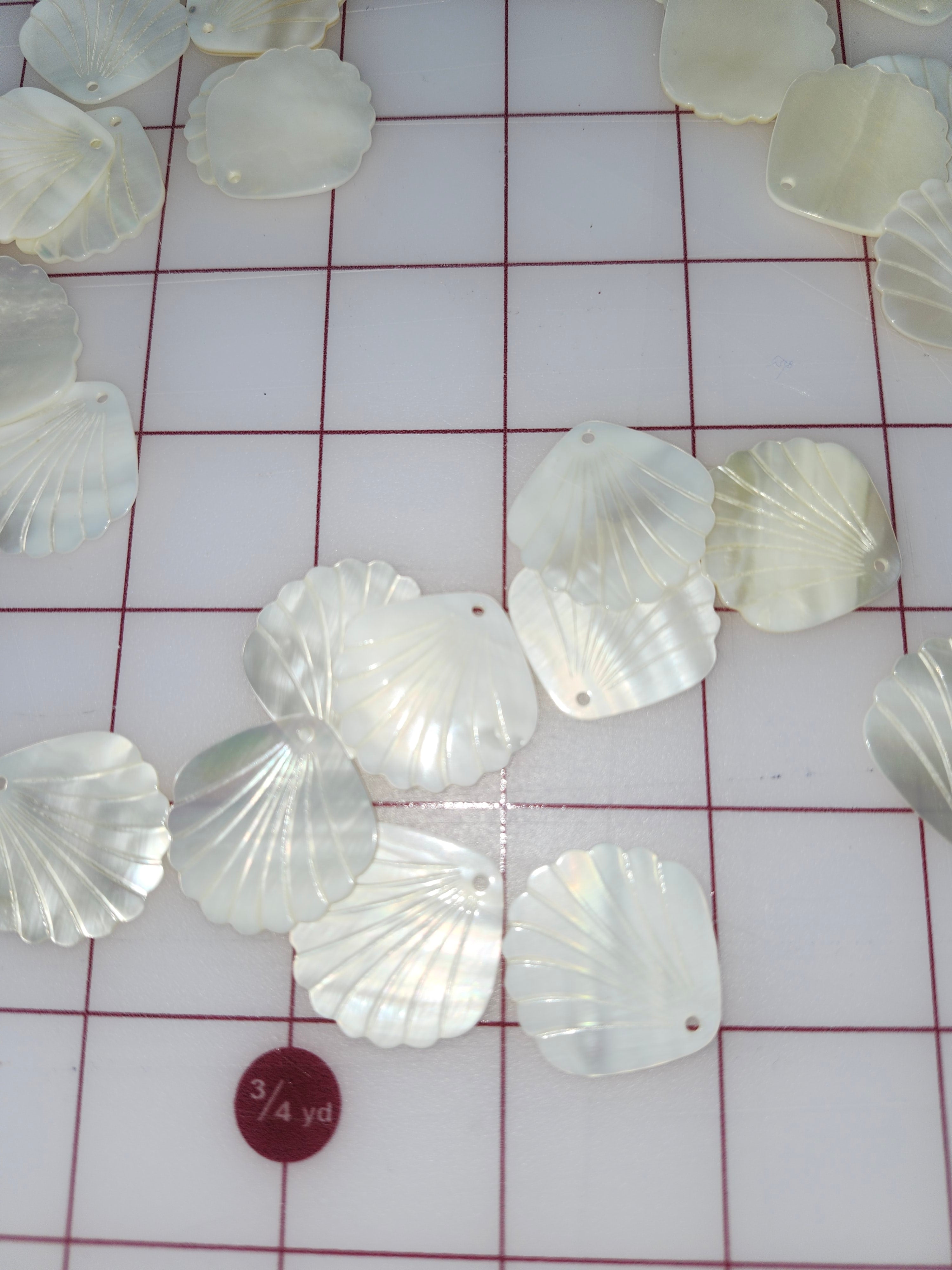 Seashell Pairs 28mm – Mashel Trade